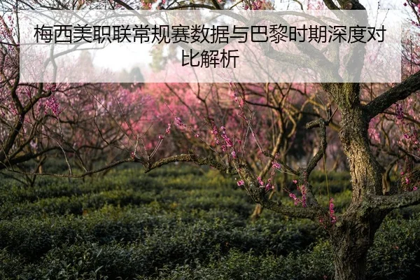梅西美职联常规赛数据与巴黎时期深度对比解析（William）